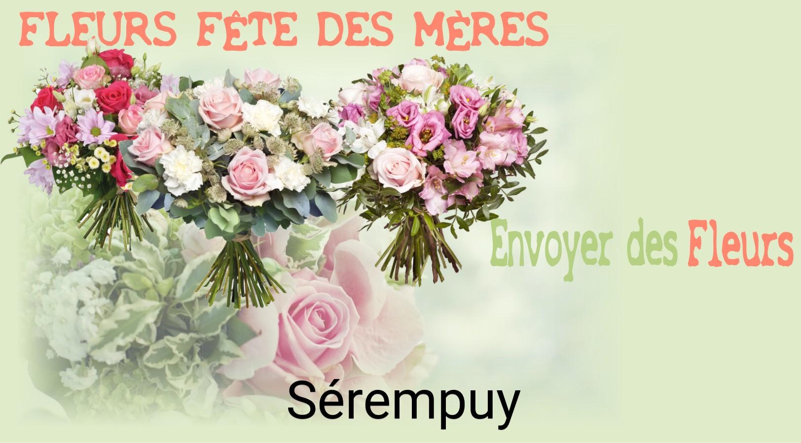 Bouquet de Fête des Mères livré à Sérempuy